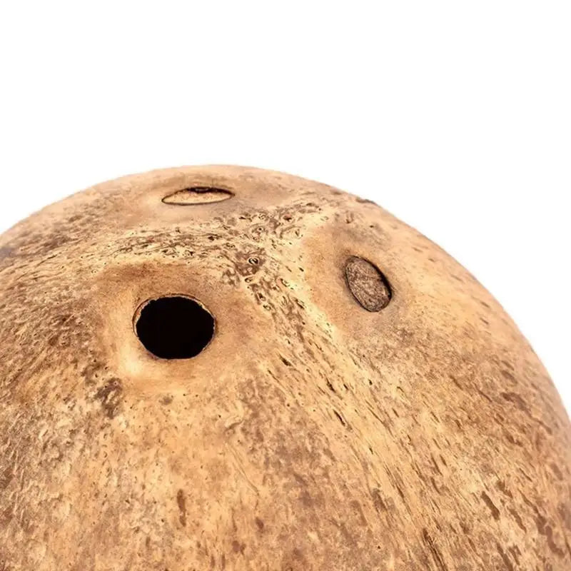 Coconuts Materials Hamster Nest Entrance Hole Secure Resting Cave For Small Pet Animal Comfortable