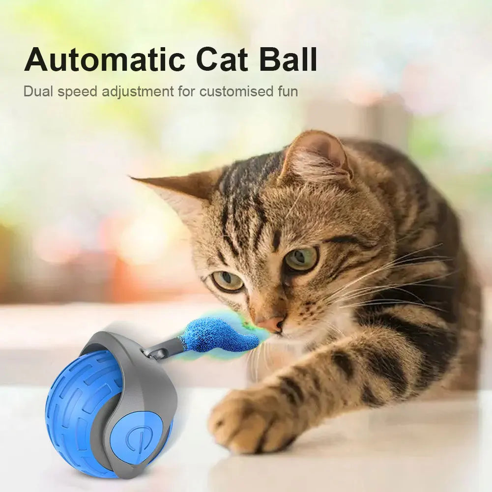 Cat Interactive Ball Toys Rechargeable Smart Pet Electric Toy Dog Cat Training Imitate Mouse Cat Training Teaser Kitten Cat Ball