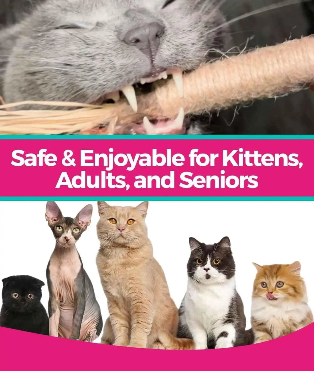 5 Pack Silvervine Sticks Cat Chew Toys, Cat Dental Toy for Kitten Teeth Cleaning & Pet Friendly Gift