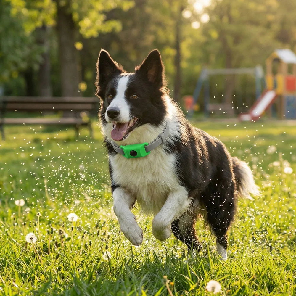 Outdoor-Ready Pet Protection Collar Natural Waterproof Tear-Resistant Design Safety Accessory for Active Dogs and Daily Walks