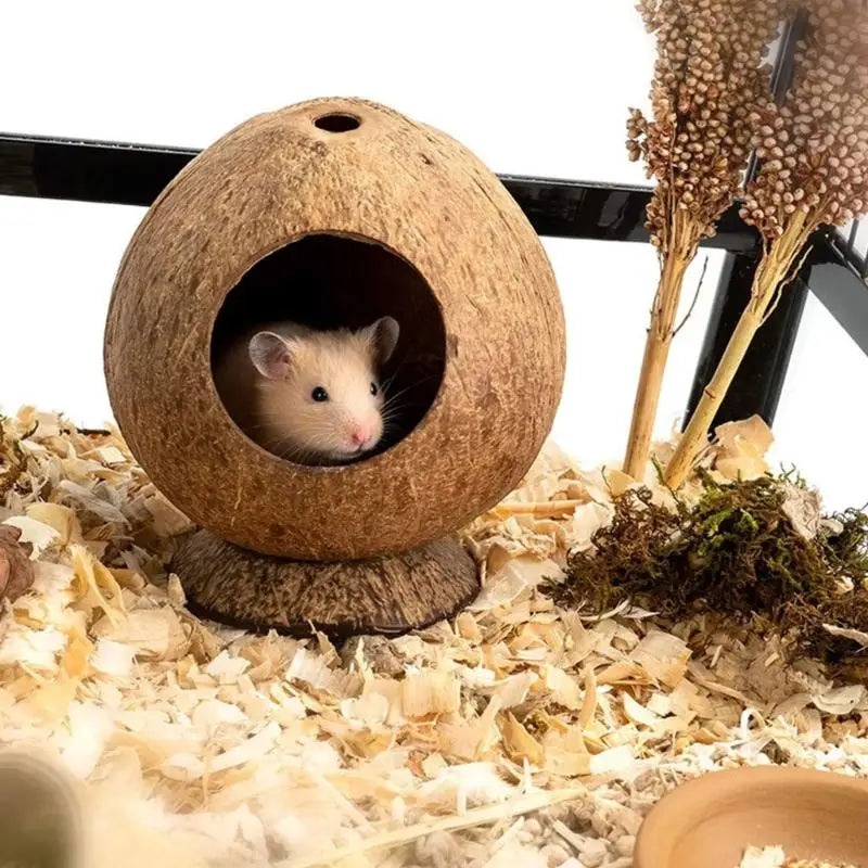Coconuts Materials Hamster Nest Entrance Hole Secure Resting Cave For Small Pet Animal Comfortable