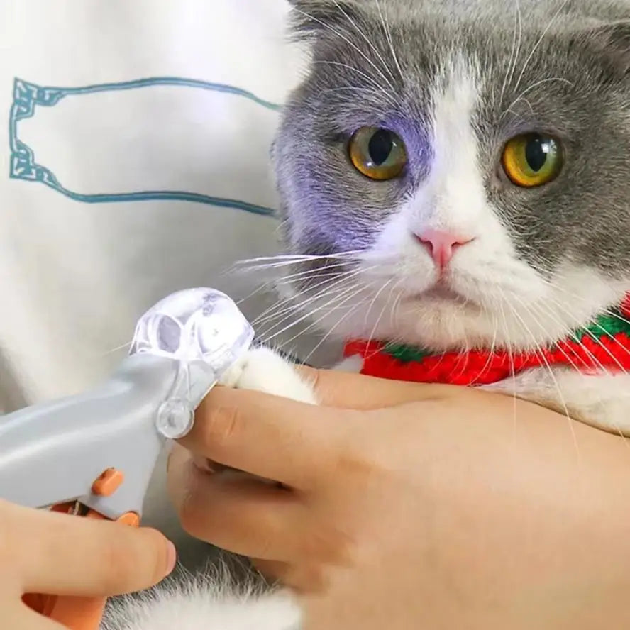 Professional Pet Nail Clipper Scissors With LED Light Cat Dog Nail Clipper Tool Scissors Nail Toeclaw Cutter Scissors Pet Supply