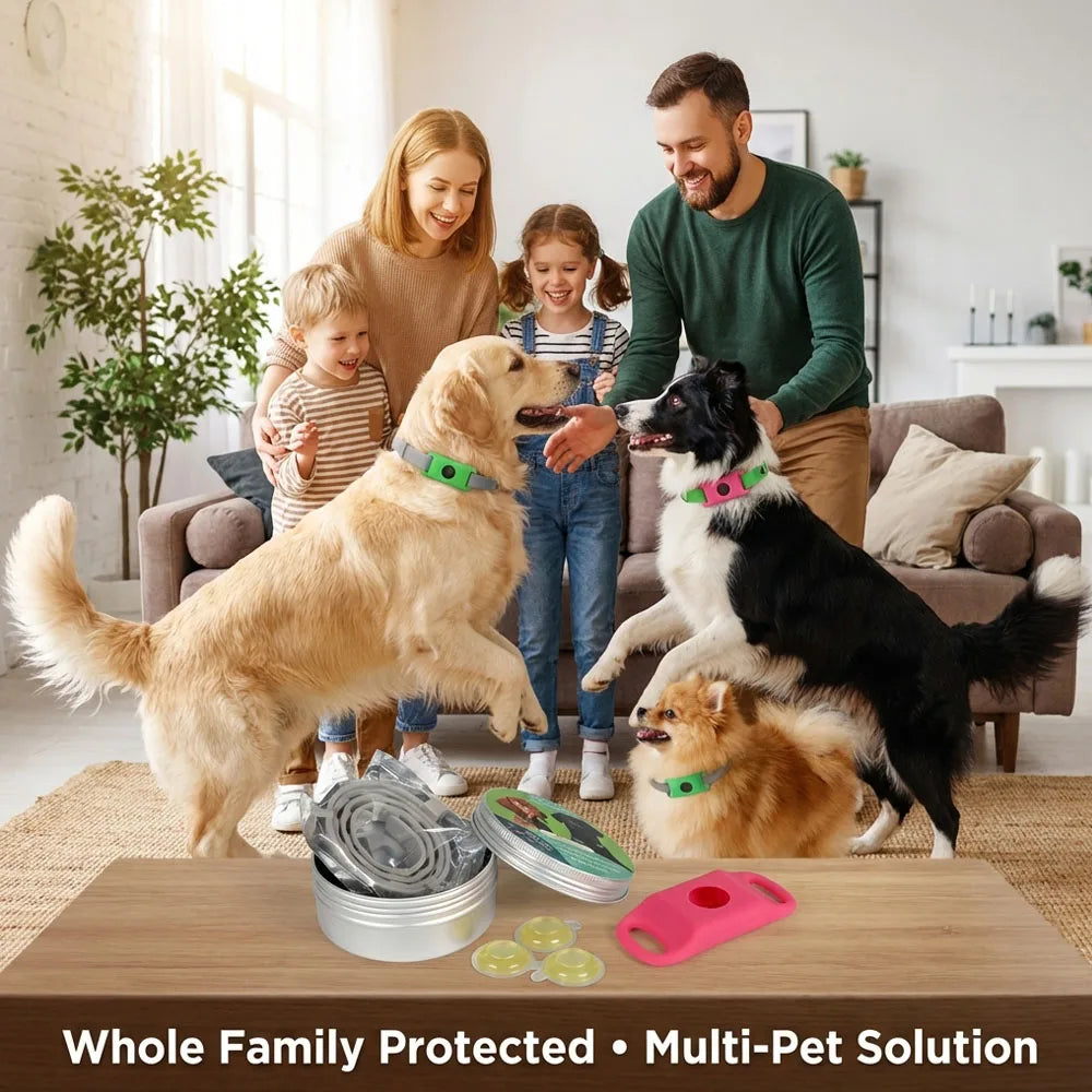 Outdoor-Ready Pet Protection Collar Natural Waterproof Tear-Resistant Design Safety Accessory for Active Dogs and Daily Walks