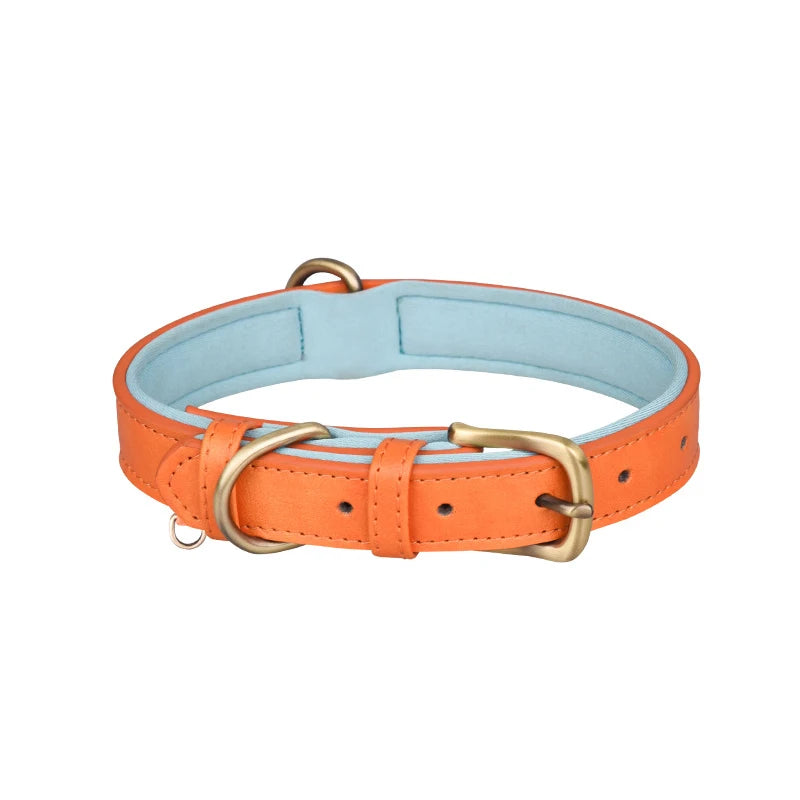 Leather Dog Collar Padded Pet Collars Adjustable Dog Collar Strong& Durable for Small Medium Dogs Pet Shop Bulldog Bull Terrier