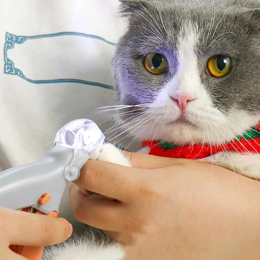 Professional Pet Nail Clipper Scissors With LED Light Cat Dog Nail Clipper Tool Scissors Nail Toeclaw Cutter Scissors Pet Supply