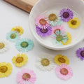 60pcs Pressed Dried Erigeron Annuus Flower Plants Herbarium For Wedding Party Home Pendant Necklace Craft DIY Accessories