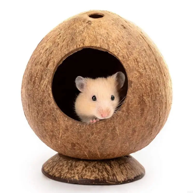 Coconuts Materials Hamster Nest Entrance Hole Secure Resting Cave For Small Pet Animal Comfortable