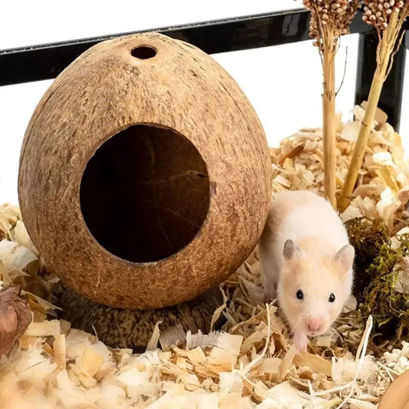 Coconuts Materials Hamster Nest Entrance Hole Secure Resting Cave For Small Pet Animal Comfortable
