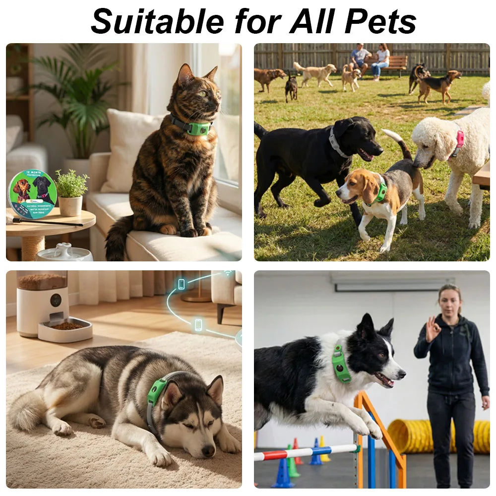 Outdoor-Ready Pet Protection Collar Natural Waterproof Tear-Resistant Design Safety Accessory for Active Dogs and Daily Walks