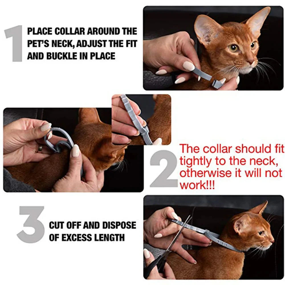 Outdoor-Ready Pet Protection Collar Natural Waterproof Tear-Resistant Design Safety Accessory for Active Dogs and Daily Walks