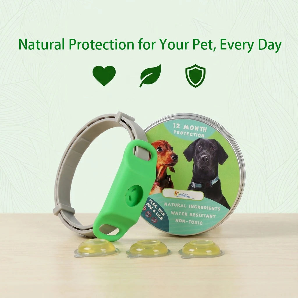 Outdoor-Ready Pet Protection Collar Natural Waterproof Tear-Resistant Design Safety Accessory for Active Dogs and Daily Walks